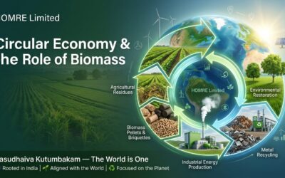 Circular Economy & the Role of Biomass in Building a Sustainable Future